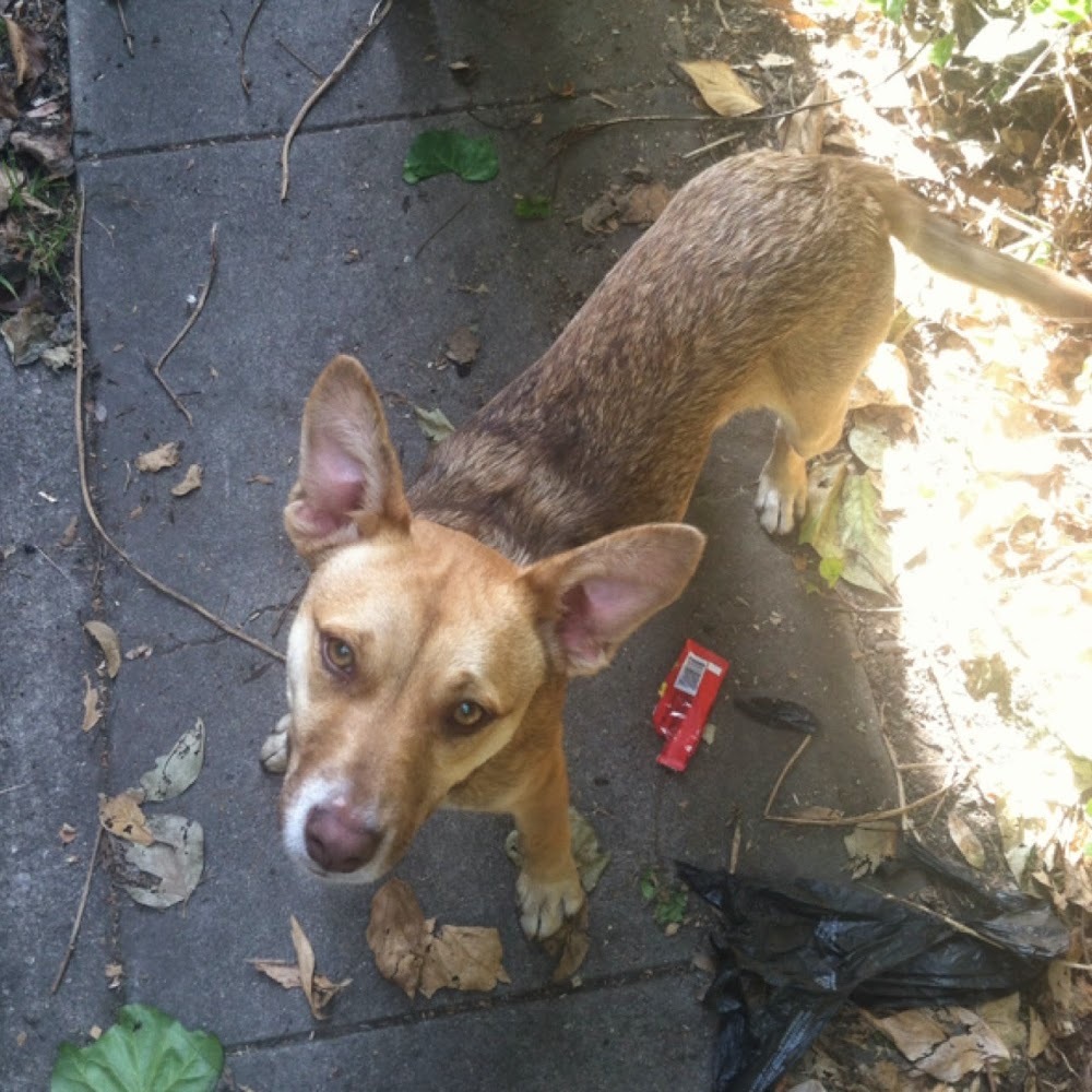 Meet your Posher, Shannybananny420